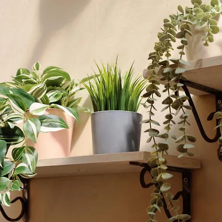 公寓 Piazza Duomo - 20 Min By Train To Florence 普拉托